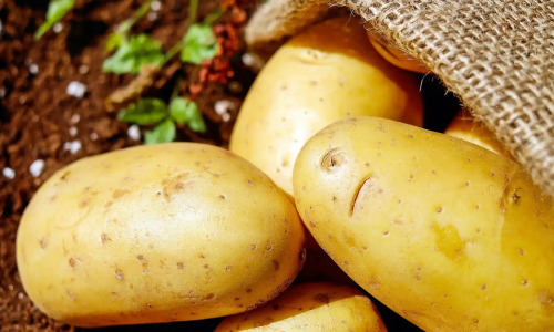 Cómo hacer patatas revolconas: receta fácil paso a paso :: Redmond :: News 24/7